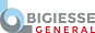 BGS GENERAL SRL