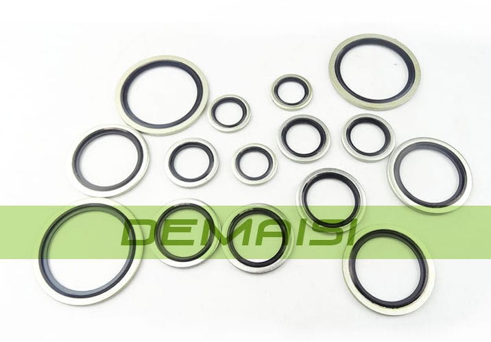 Guarnizione BS XING TAI S P MECHANICAL SEAL FACTORY In NBR Per