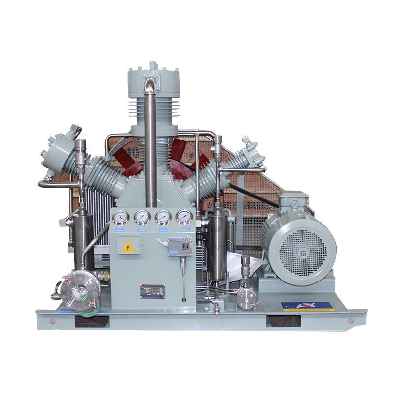 Compressore Di Biossido Di Carbonio Cw Series Wenling Toplong