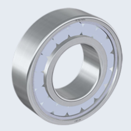 Cuscinetto a rulli cilindrici N V series STC Steyr Wälzlager