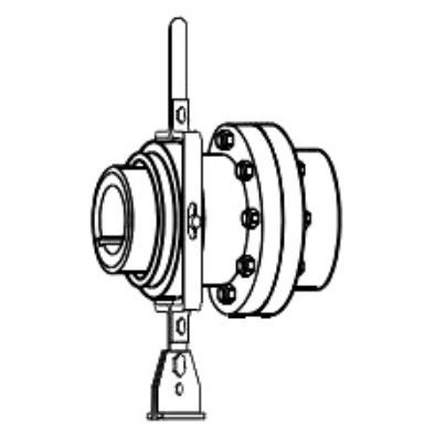 Giunto A Ingranaggi G Centa Power Transmission Per Albero Con