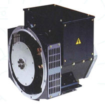 alternatore 12.5 - 25 kVA | DG162 BELTRAME CSE