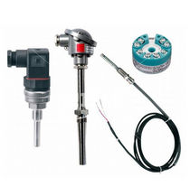 sonda di temperatura Pt100 PT100, CR/ALL, FE/CO Riels Instruments