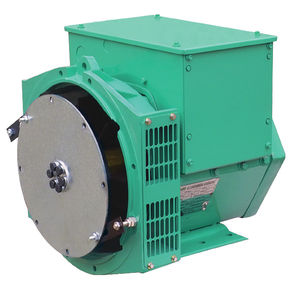 alternatore brushless / industriale / trifase