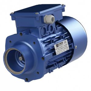 motore trifase / asincrono / 220V / 400 V
