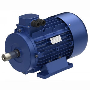 motore IE3 / trifase / asincrono / 230 V