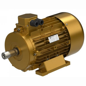 motore ad alto rendimento / trifase / asincrono / 230 V