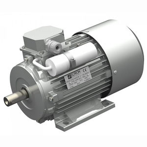 motore con condensatore permanente e di avviamento / monofase / asincrono / 220V