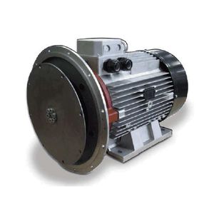 alternatore asincrono / brushless / per gruppo elettrogeno / di tensione AC