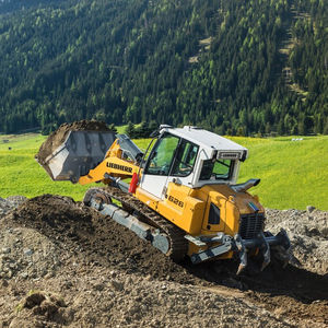pala cingolata / rigida / per cantiere
