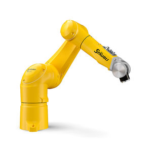 robot antropomorfo / 6 assi / ad alta velocità / collaborativo