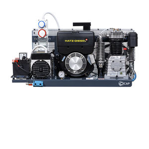 compressore d'aria / fisso / con motore diesel / a pistone