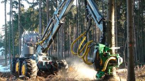 abbattitrice forestale gommata / carroponte