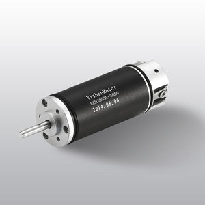 motore DC / brushless / 24 V / 48V
