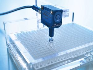 sensore di prossimità ad ultrasuoni / rettangolare / IP67 / analogico
