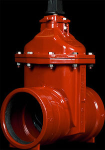 valvola a saracinesca flessibile / per acqua / in ghisa / in PVC