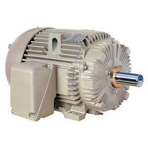 motore AC / ad induzione / 460 V / 575V