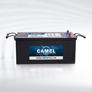 Batteria Ad Acido Libero Qwd Series Camel Group Co Ltd Piombo