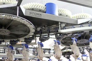 pesatrice multitesta / per l'industria agroalimentare / ad alta velocità