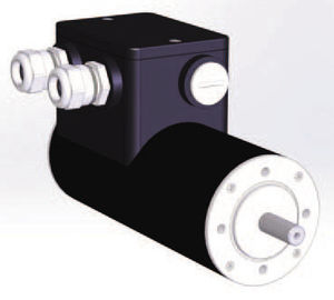 motore DC / brushless / 24 V / 4 poli