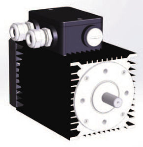 motore DC / brushless / 24 V / 8 poli