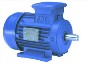 motore AC / trifase / asincrono / 440 V
