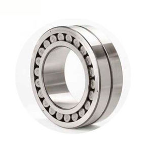 Cuscinetto A Rulli Cilindrici Sl Series Thb Bearings Radiale