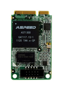 scheda grafica PCI Express / 1U