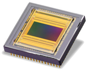 sensore di immagine CMOS / a colori / per bassa luminosità / ad alta velocità