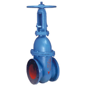 valvola a saracinesca / manuale / per acqua / a sede
