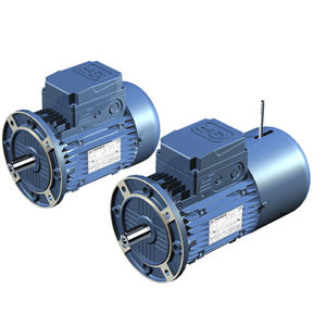 motore AC / trifase / asincrono / 12 V