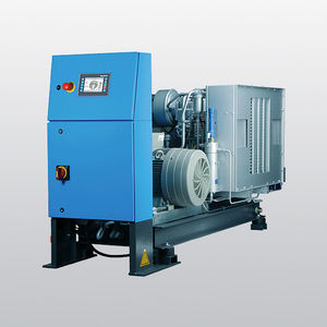 compressore raffreddato ad aria / d'aria / di azoto / fisso