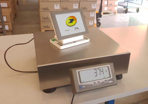bilancia a piattaforma / benchtop / contapezzi / digitale