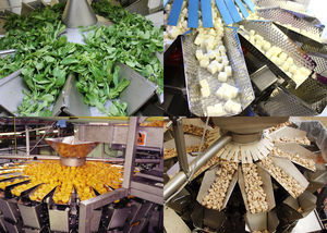pesatrice multitesta / con alimentatori vibranti / per l'industria agroalimentare