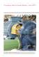 PER POMPE E COMPRESSORI - NSK Europe