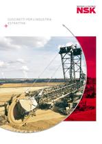 Cuscinetti per l�Industria