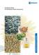 Complete Plants for Sunflower Seeds Processing