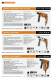 Catalogo ELETTROUTENSILI 2010/11 - AEG Powertools