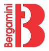 Torneria Bergamini - logo