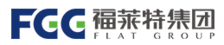 Flat Glass Group Co., Ltd