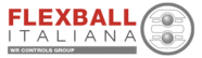 Flexball Italiana - logo