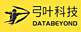 Databeyond