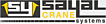 SAYAL CRANE SYSTEMS