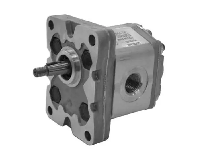 Pompa Idraulica A Ingranaggi Gruppo 1 BG1 - Con Flangia Europea E Albero Conico 1:8 - Foto 9