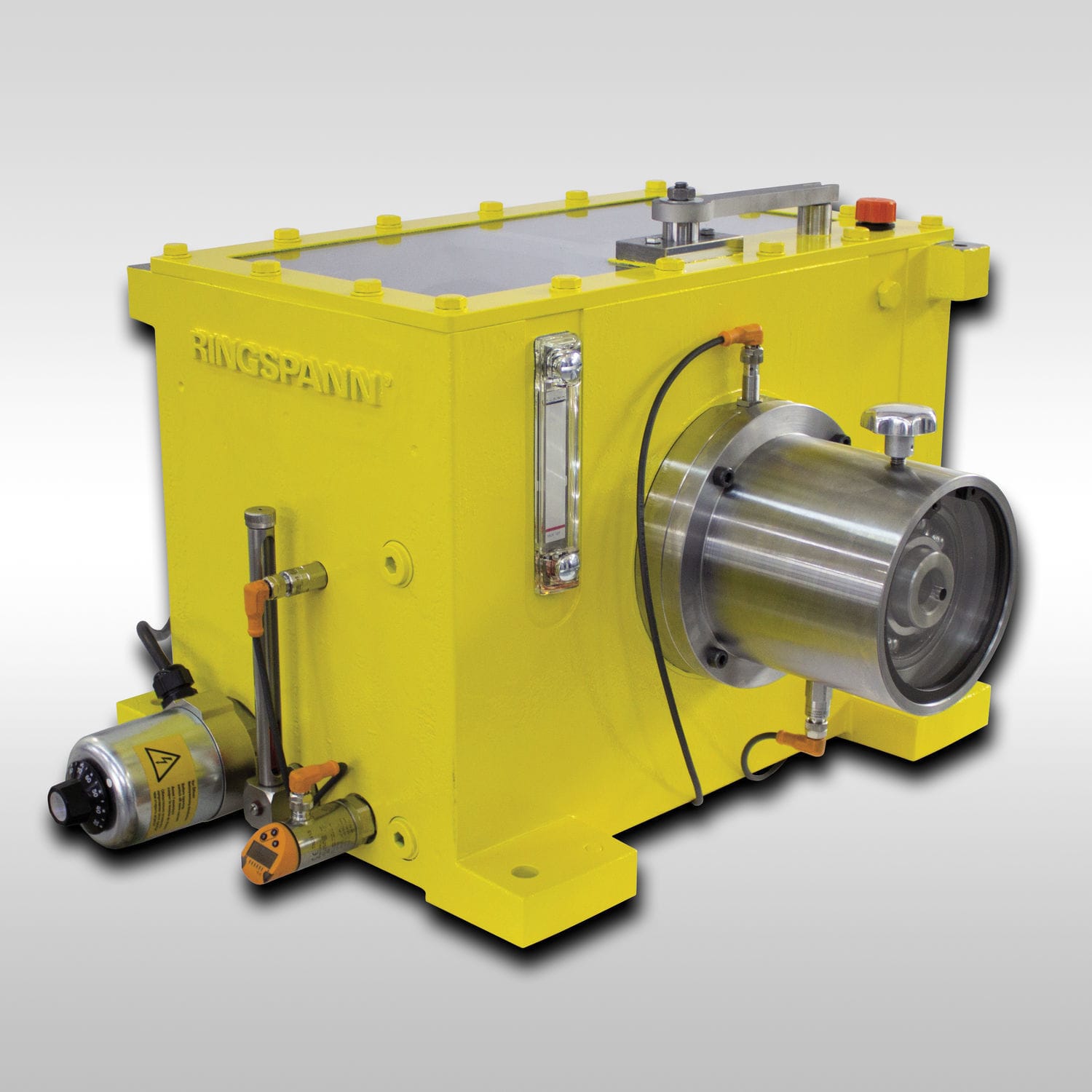 Sistema di monitoraggio condizioni e di diagnosi RINGSPANN di