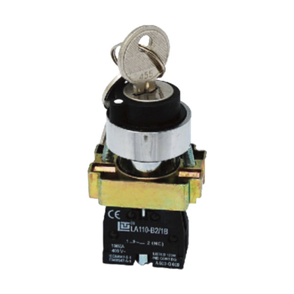 Interruttore Di Accensione Con Chiave, ZB2‑BE101 ZB2‑BE102C Interruttore A Chiave A 2 Posizioni, Conversione Blocco Alimentazione Con Reset Automatico Con 2 Chiavi Per Il