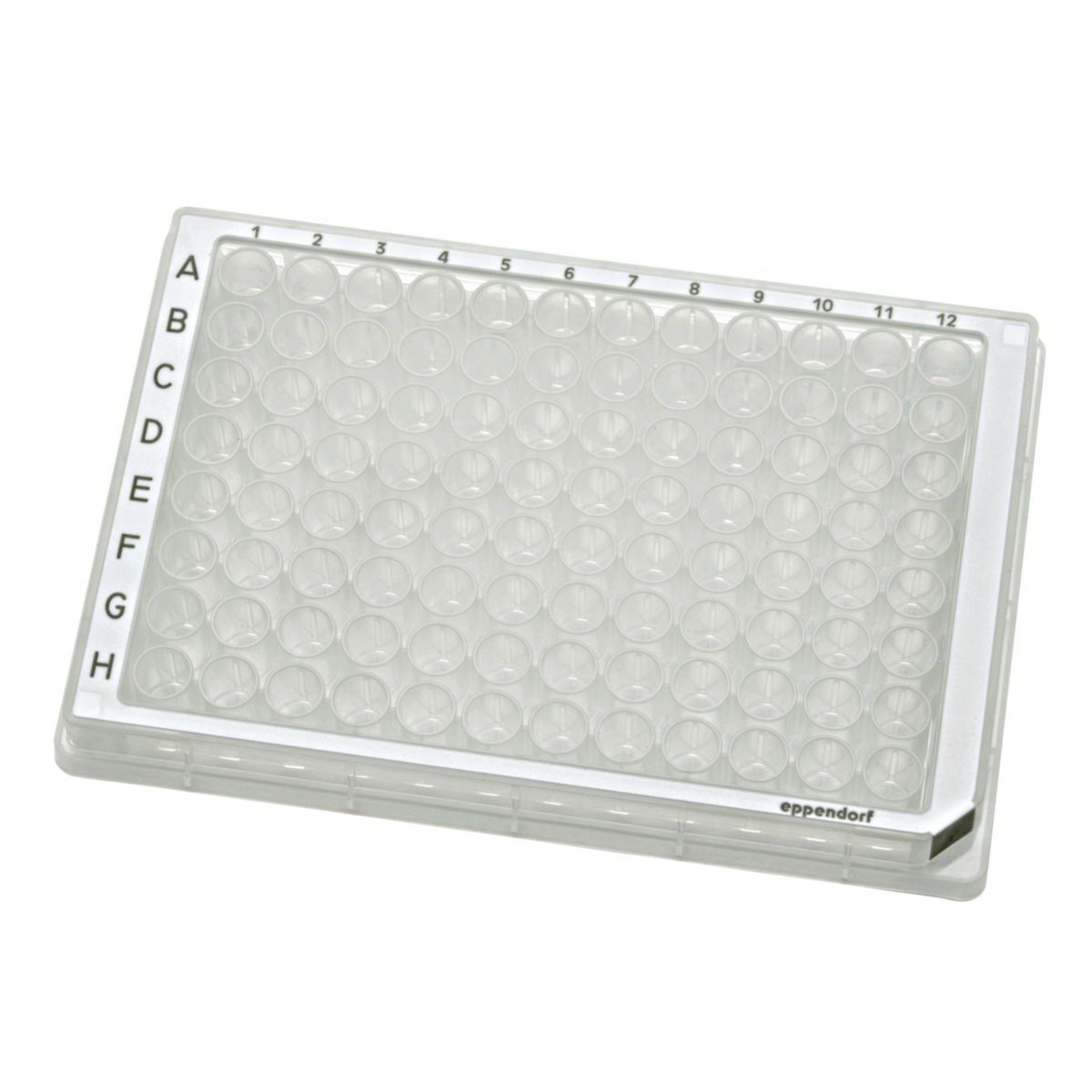 Portacongelatore Verticale Per Piastre 96/384 Pozzetti – Acciaio Inox, Usato