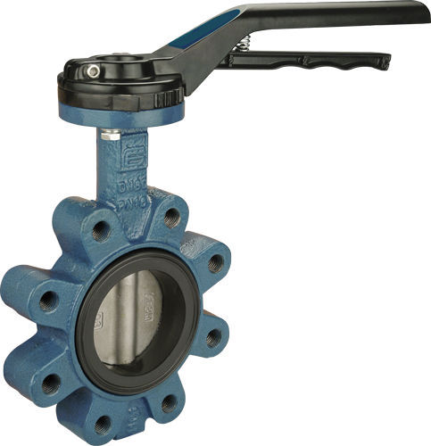 Thesis 40 effebi 05 picture