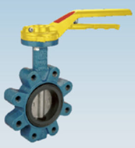 Valvola thesis effebi 07 image