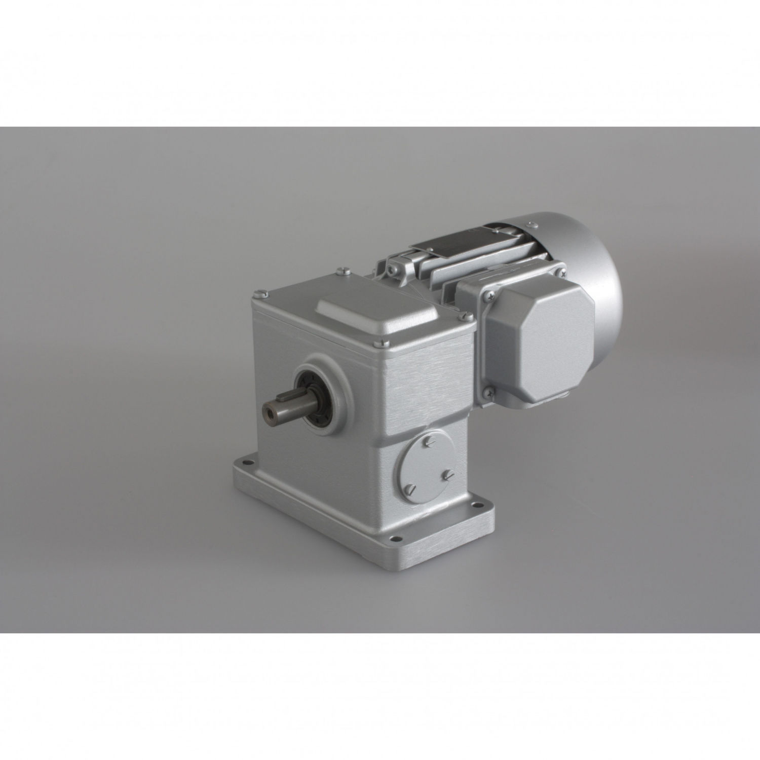 Motoriduttore A Vite Senza Fine 120W CA 220 V Riduzione Vite Senza Fine